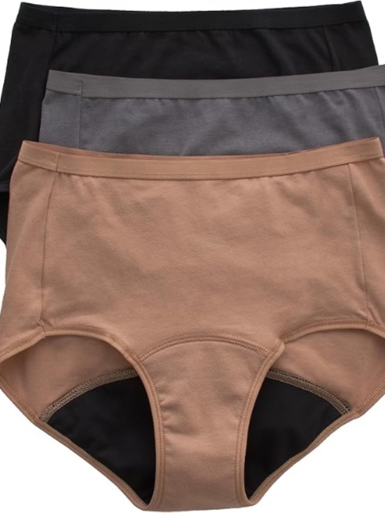 Hanes Other - Hanes Period Comfort Underwear Panties 3X